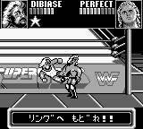 WWF Superstars (Japan)