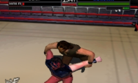 WWF War Zone (USA)