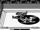 WWF War Zone (USA, Europe)