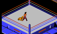 WWF Wrestlemania Challenge (Europe)