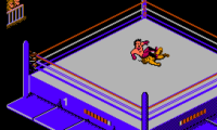 WWF Wrestlemania Challenge (Japan)