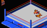 WWF Wrestlemania Challenge (USA)