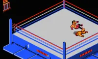 WWF Wrestlemania Challenge (USA)