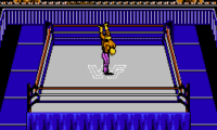 WWF Wrestlemania Steel Cage Challenge (Europe)