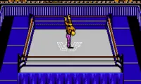 WWF Wrestlemania Steel Cage Challenge (Europe)
