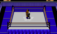 WWF Wrestlemania Steel Cage Challenge (USA)