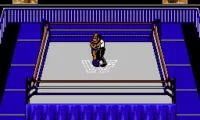 WWF Wrestlemania Steel Cage Challenge (USA)