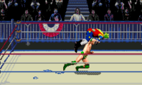 WWF WrestleMania – The Arcade Game (USA)