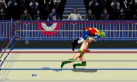 WWF WrestleMania – The Arcade Game (USA)