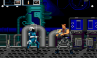 X-Perts (USA)