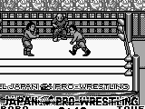 Zen-Nihon Pro Wrestling Jet (Japan)