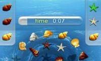 Zenses – Ocean (USA) (En,Fr,Es)