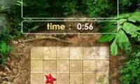 Zenses – Rainforest (Europe) (En,Fr,De,Es,It,Sv,No,Da)