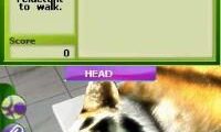 Zoo Vet – Endangered Animals (USA)