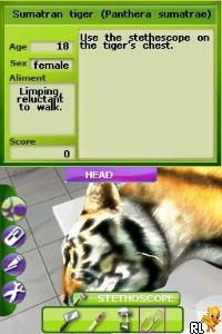 Zoo Vet – Endangered Animals (USA)