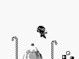 Zool (Europe)