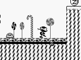 Zool (USA)